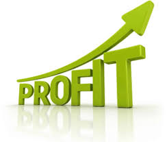 Divya Jyoti Pattina Cooperative Society in Profit